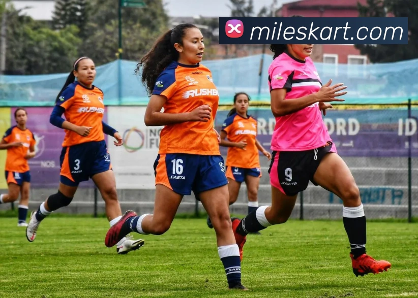 米乐m6品牌故事